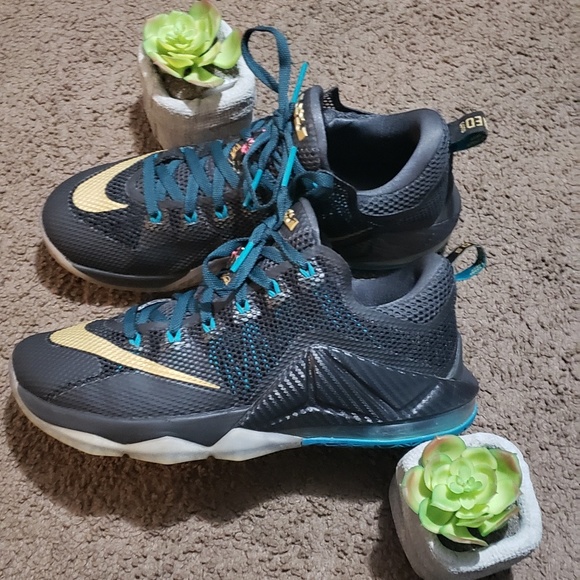 lebron 12 low carbon fiber